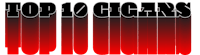 the top 10 cigars logo on a black background